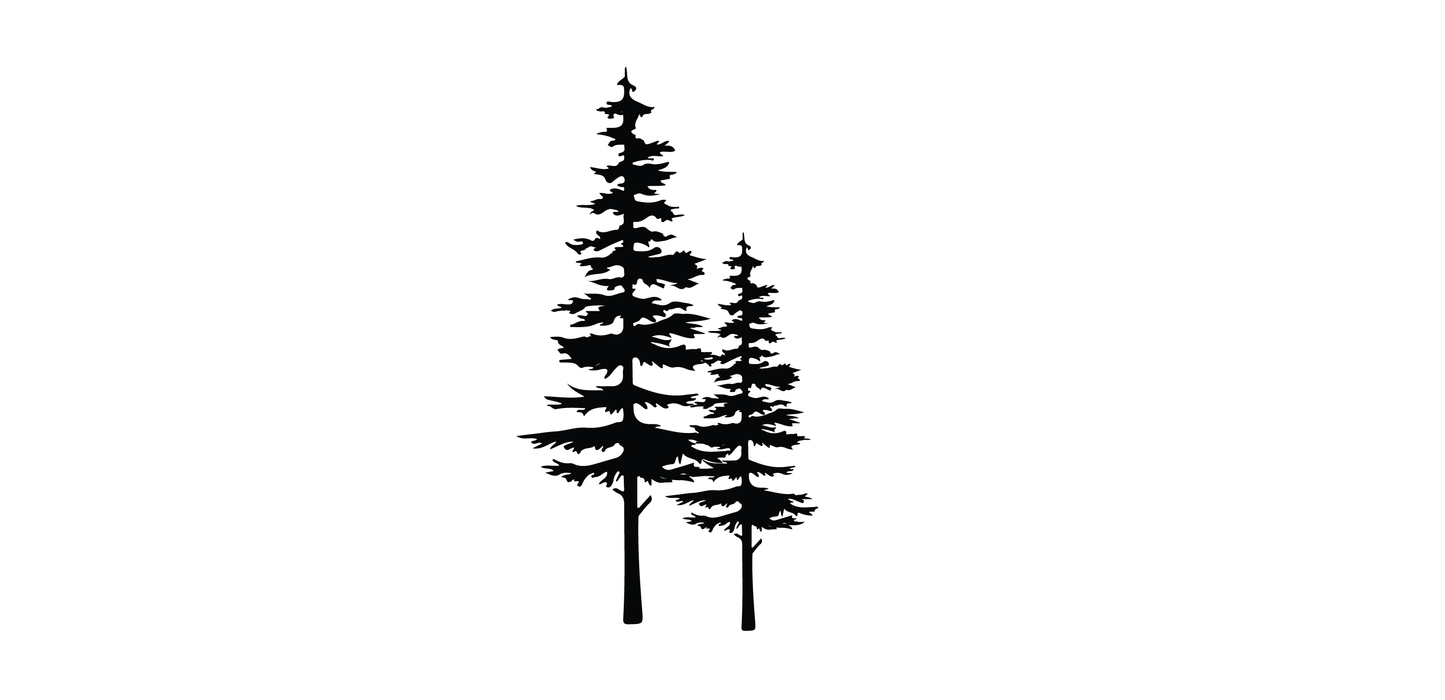 Engraving 19