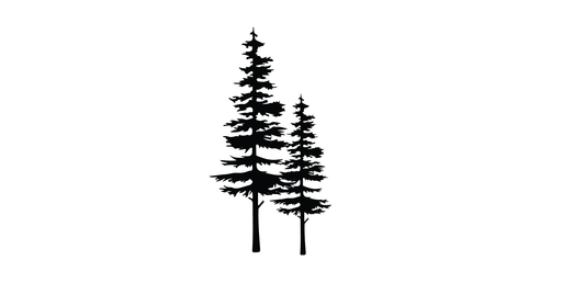 Engraving 19